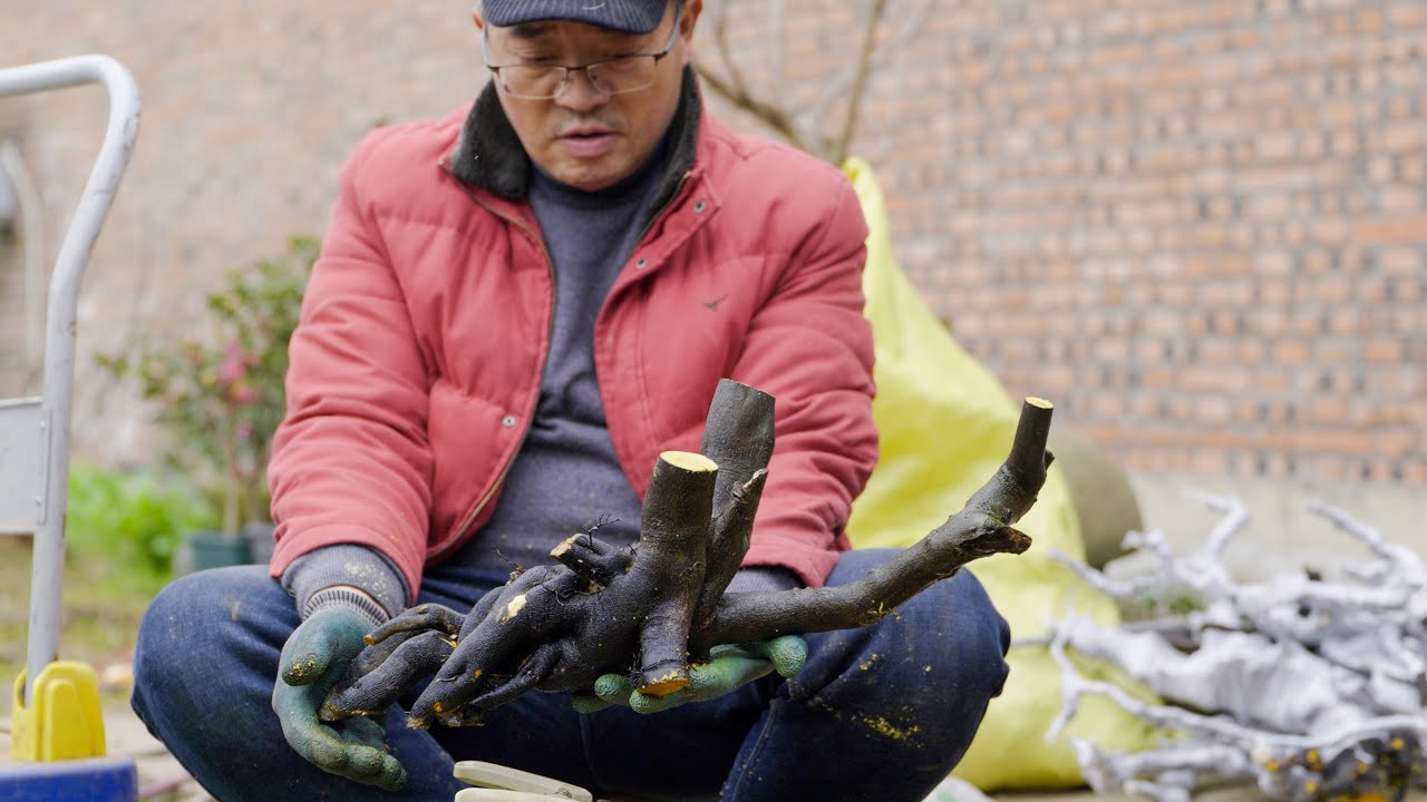 金弹子下山桩素材制作