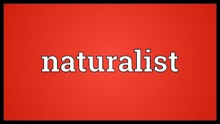 Naturalist Meaning