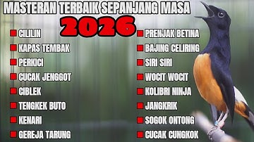 MASTERAN LENGKAP MURAI BATU 2026 BONGKAR ISIAN DAHSYAT 100% COCOK BUAT MASTERAN MURAI BATU ANDA