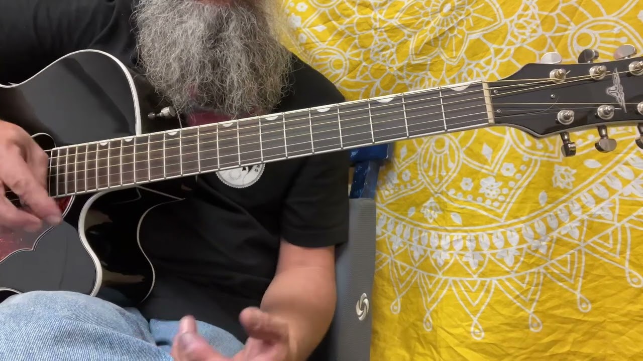 Гарантия ДНК — Коди Рианн #wagohowardhanahou #howtoplayguitar