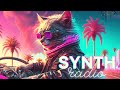 The Synth Cat Radio | Synth Pop Beats to Stay Awake to Study