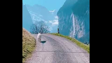 Imgur  The magic of the Internet 3