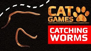 CAT GAMES - CATCHING WORMS (ENTERTAINMENT VIDEOS FOR CATS TO WATCH) screenshot 5