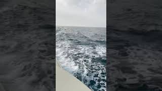 Sheikh Hamdan|Dubai crown prince|Boating by UAE Royal Family 456 views 3 years ago 2 minutes