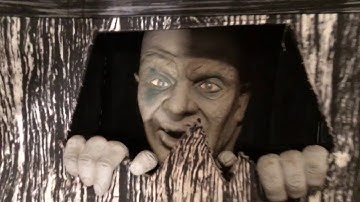 YJ Animated All Boxed Up