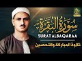 قرآن الصباح   سورة البقرة للشيخ محمد صديق المنشاوي                                     سمعها