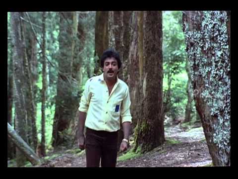 Mella Thiranthathu Kadhavu   Thedum Kann Paarvai song