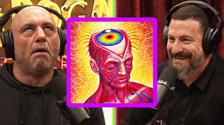 Andrew Huberman: The Journey Of Psychedelics In Science | Joe Rogan | JRE 1958