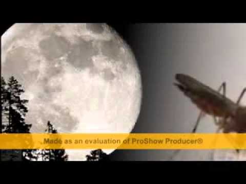 انشودة يامن يرى ابوخاطر YouTube 