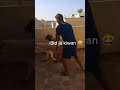 عيدكم مبارك سعيد 