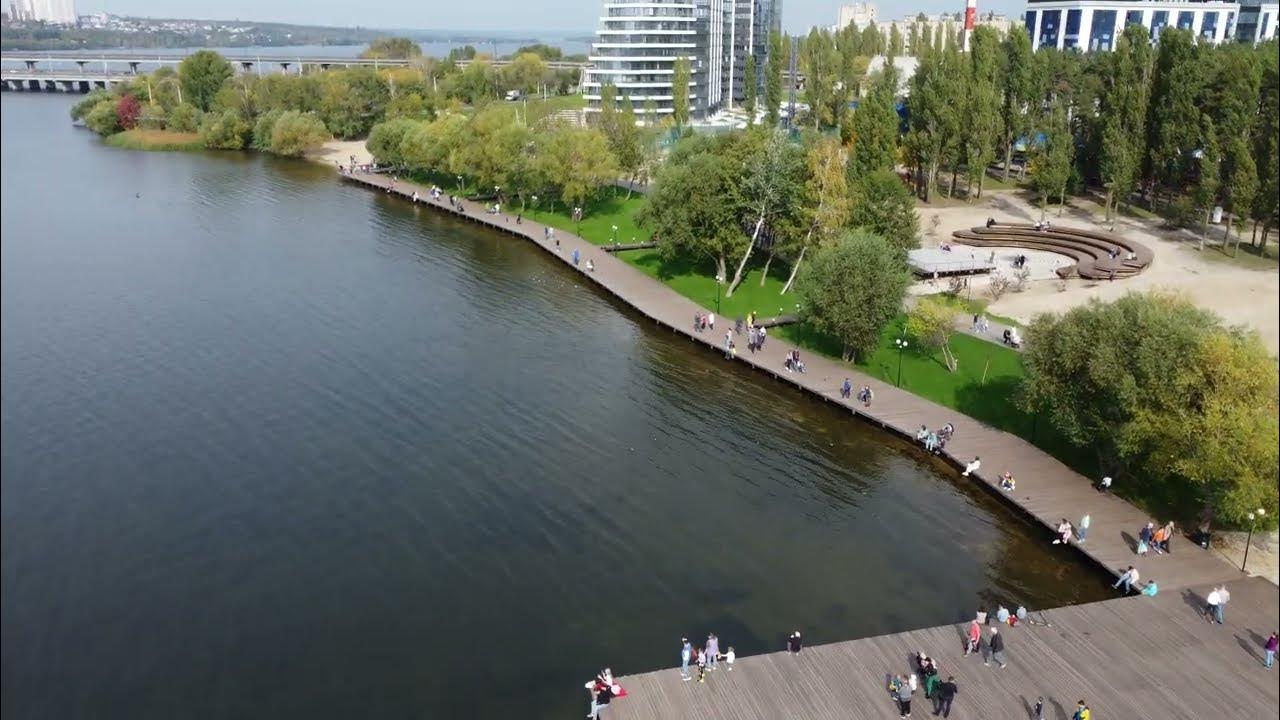 Дельфин воронеж фото
