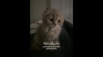 سورة طه || القارئ شريف مصطفي