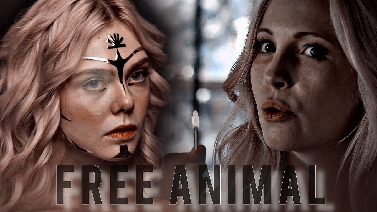 Multifemale | Free Animal (+xSweetyProdx)