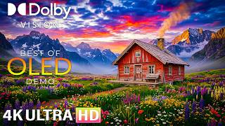Reference Quality Nature Film • Native 4K HDR Dolby Vision for OLED, QLED & 8K Ultra HD TVs