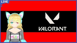 いろいろなかたと【valorant】