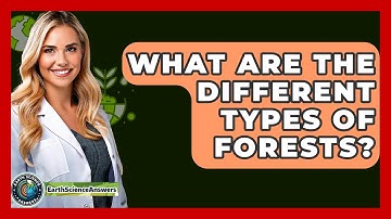 What Are The Different Types Of Forests? - Earth Science Answers