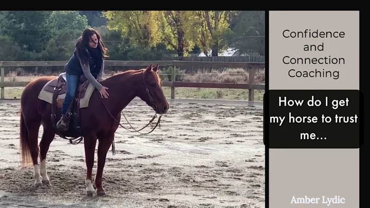 How do I get my horse to trust me?-Amber Lydic