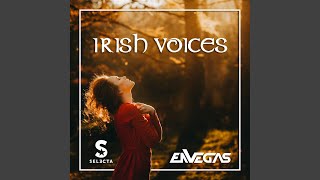 Video thumbnail of "DJ Selecta - Irish Voices (Original Mix)"