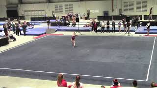 Level 9 Floor Routine