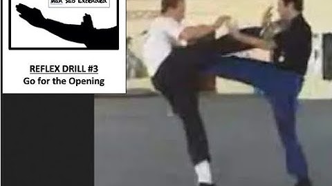 WING CHUN - Reflex Drill #7 - Go for the Opening