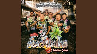 Video thumbnail of "Grupo Kachimba - Rasca Bonito"