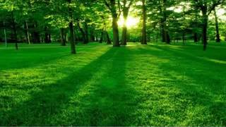 Lagu Sholawat Maulaya Sholli Wasallim Daiman Abada Mp3