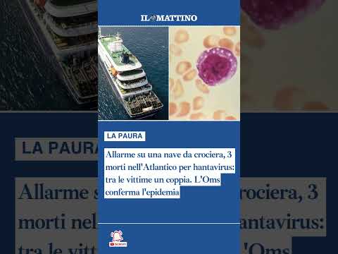 Video Allarme su una nave da crociera, 3 morti per hantavirus: L'Oms conferma l'epidemia