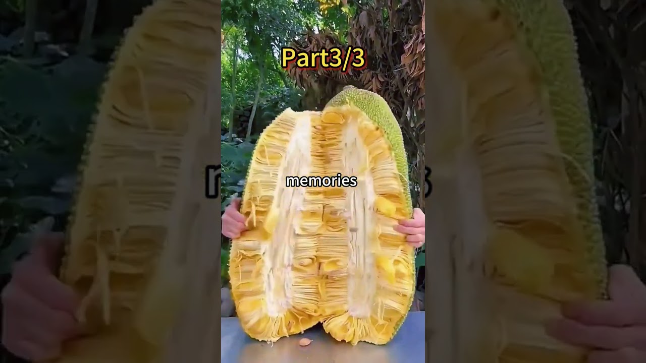 My parents didn't come on my wedding day, I called them and asked where they were…