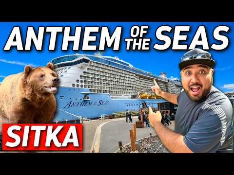 WE FOUND BEARS IN SITKA, ALASKA! Day At Sea & Sitka Port Guide! Why Your Itinerary MATTERS!