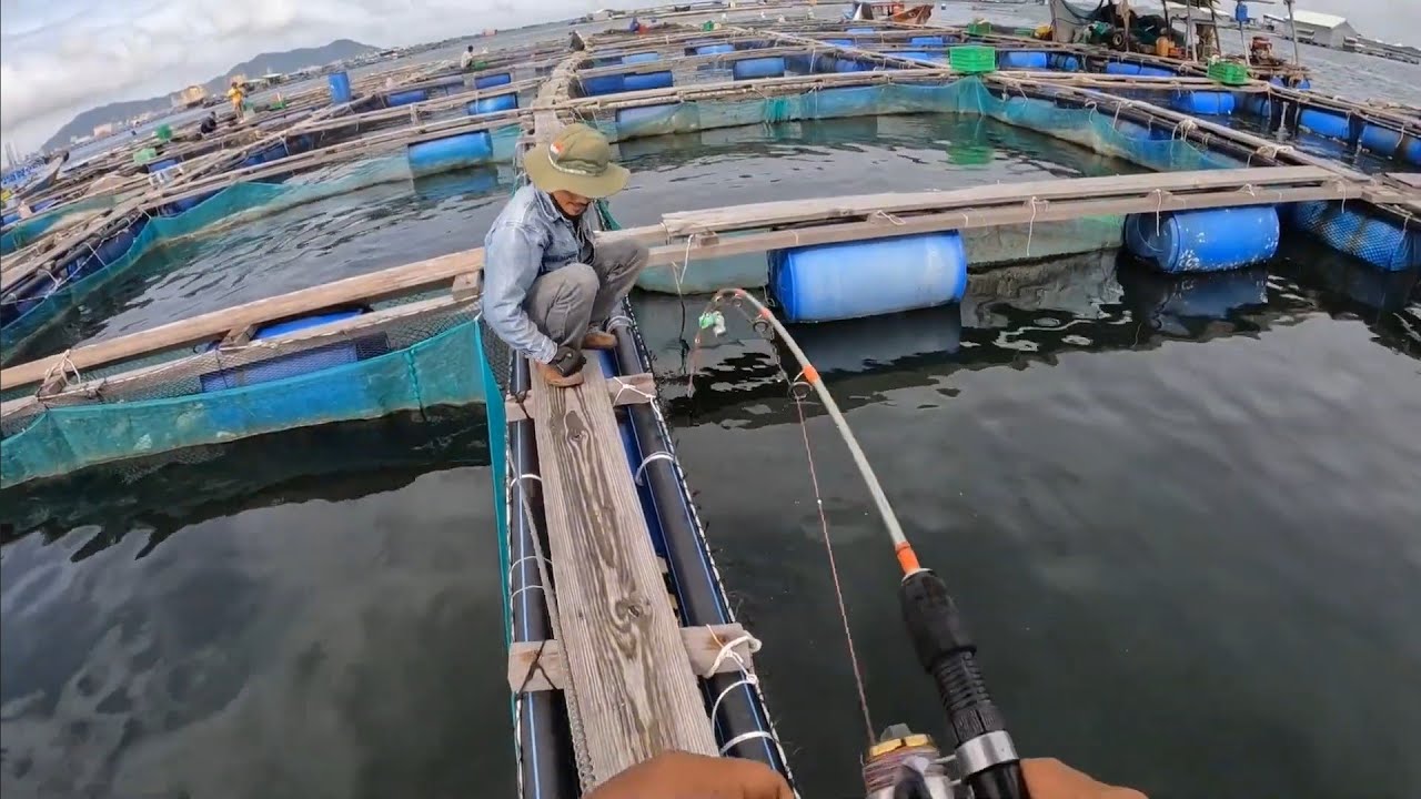 Câu cá nâu cá rìa ở long sơn 2 ngày ở bè cá và bè hào phần 1 #Fishing # ...