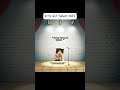 Cats Meme 🐱| Cat got tallent show #catsmemes #catmeme #relatable #relationship