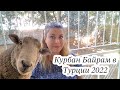 Курбан Байрам в Турции 2022