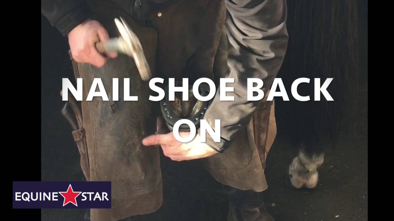 Klick and Ride Farrier Demonstration YouTube