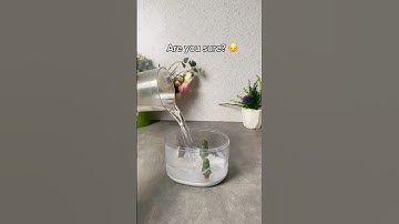 It’s the best diffuser #diffusers #humidifier #purifier #shorts #giftideas #foryourpages #nightlamp