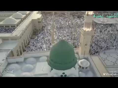 اناشيد على عقيق الاراك وقفت باكي العيوني 