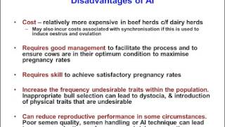 TV4001 AI in cattle 1 - Advantages and disadvantages - 5 min