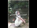 ماحبيتتت تسليك فكرتي اكسبلور  ايقنت عرفت عرفت اعتني    لايك شلتنا