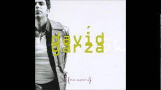 Watch David Garza Flower video