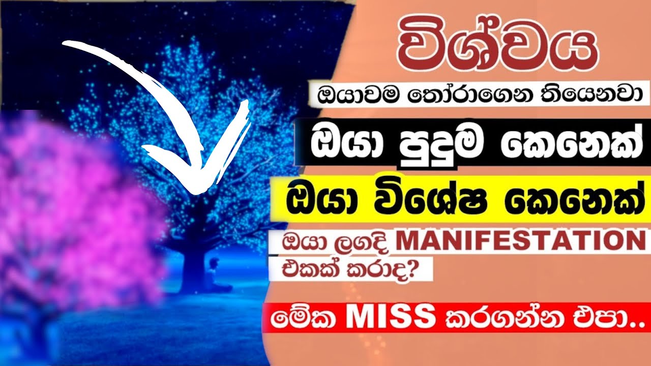 ඔයා පුදුම කෙනෙක් ඔයා විශේෂ කෙනෙක්..  ලගකදී Manifestation එකක් කරා ද? මේ විශ්වයේ පණිවිඩය ඔයාටයි.