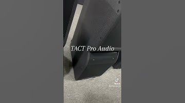 TACT Pro Audio LA210 dual 10 inch line array speaker system
