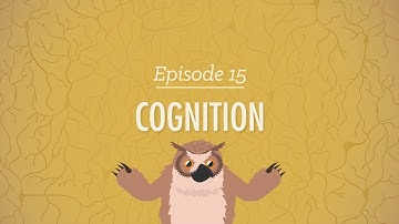 Cognition - How Your Mind Can Amaze and Betray You: Crash Course Psychology #15