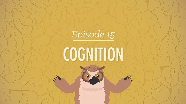 Cognition - How Your Mind Can Amaze and Betray You: Crash Course Psychology #15 - DayDayNews