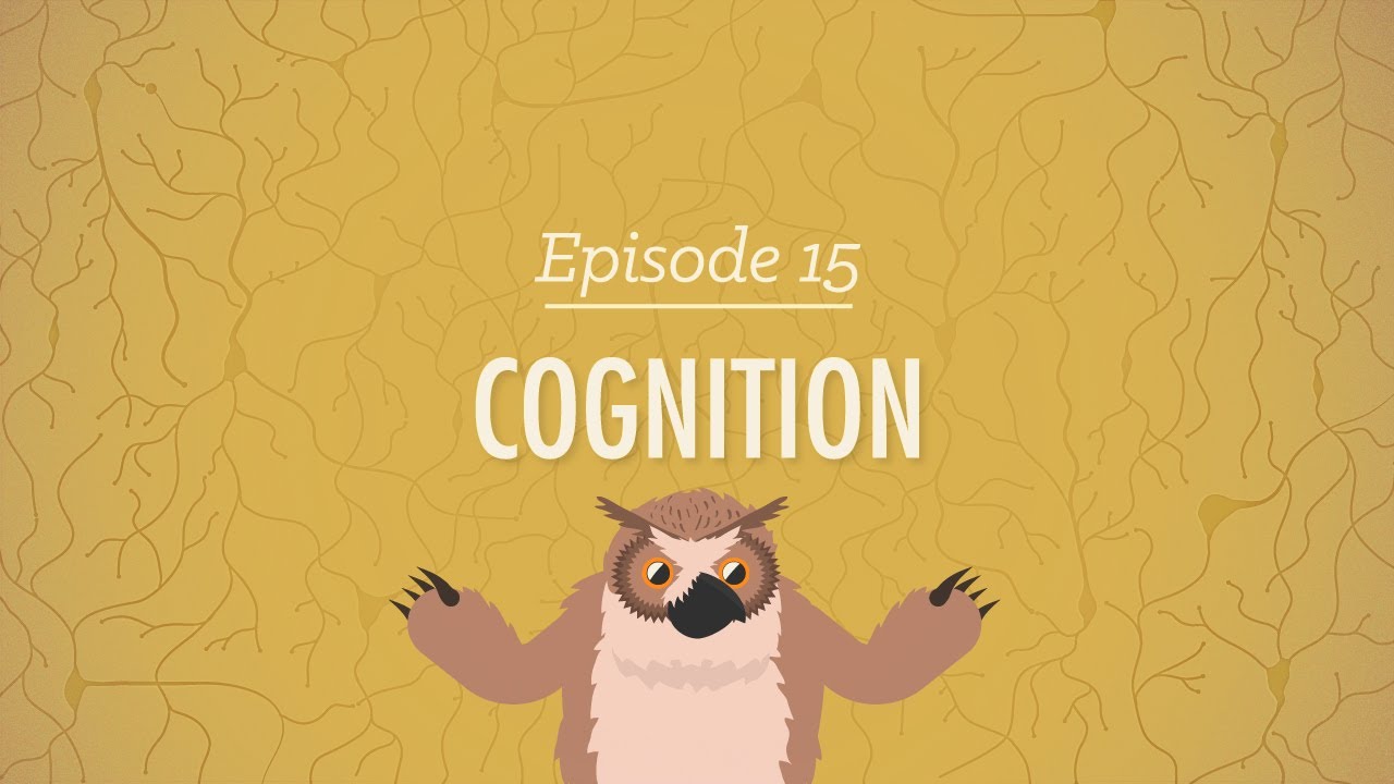 ⁣Cognition - How Your Mind Can Amaze and Betray You: Crash Course Psychology #15