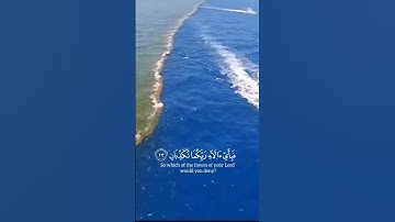 من سورة الرحمن....ياسر الدوسري #القرآن_الكريم #سورة_الرحمن #ياسر_الدوسري