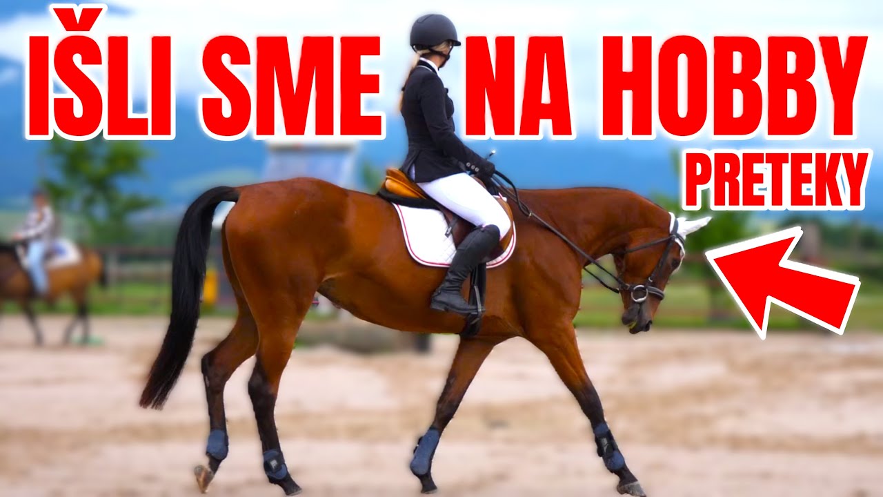 Išli sme na HOBBY SÚŤAŽ!!!🏇 Working equitation🐴 Kavaletový parkúr a barrel racing | plemeno furioso