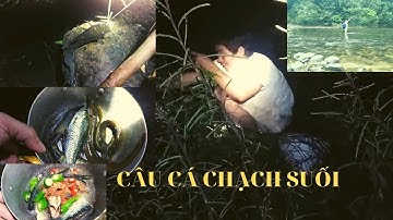 Câu cá chạch suối rừng già giật cá mỏi tay | Đinh Báo TV