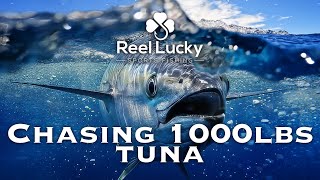 Reel Lucky - Episode 2 - Blue Buffaloes: Chasing 1,000lb Tuna