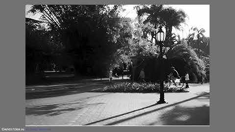 TOEIC MINI TEST PART 1 - P1min5