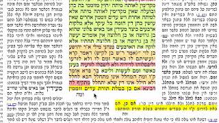דף יומי מסכת מכות דף ב׳ 2 שלישי י״ח חשון תשע״ח