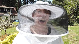Installing a new queen bee and 10,000 honey bees